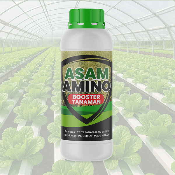 Booster Asam Amino Panentas